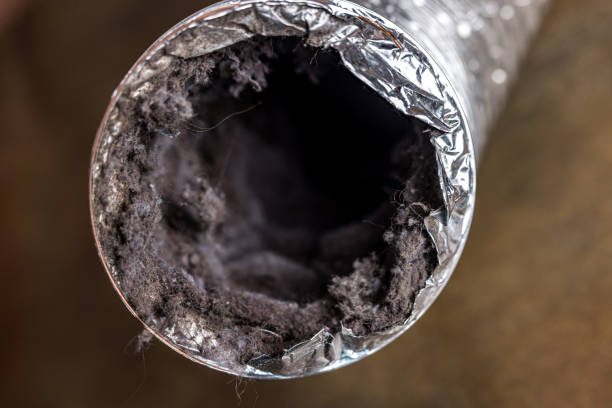Best Ductwork Cleaning Services  in Wilkinson Heights, SC
