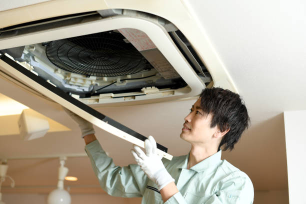 Best Professional Duct Cleaning Services  in Wilkinson Heights, SC