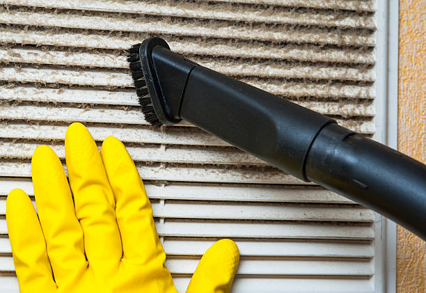 Best Home Air Vent Cleaning  in Wilkinson Heights, SC